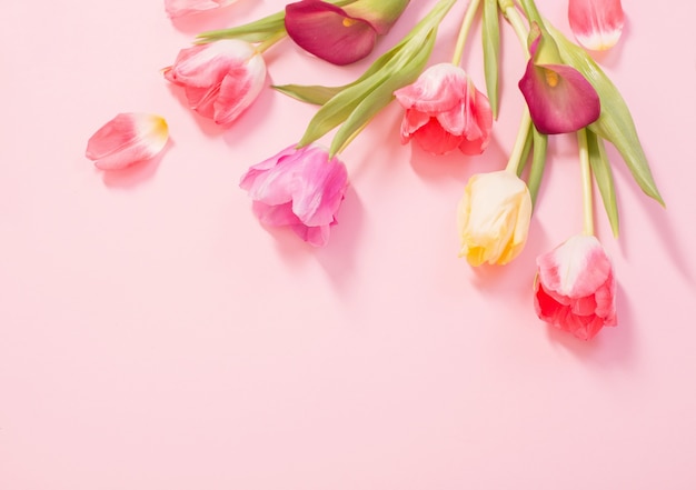 Flores da primavera na superfície rosa
