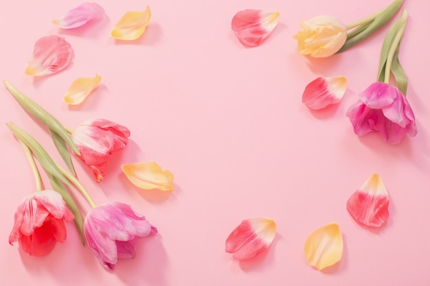 Flores da primavera na superfície rosa