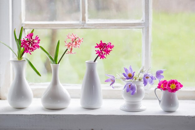 Flores da primavera no peitoril da janela