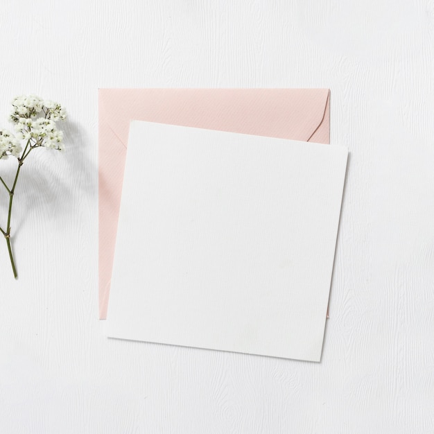 Flores da respiração do bebê e envelope rosa e branco sobre fundo branco