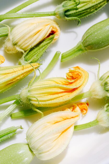 Foto flores de abobrinha em vários graus de divulgação prontas para cozinhar