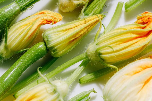 Flores de abobrinha em vários graus de divulgação prontas para cozinhar