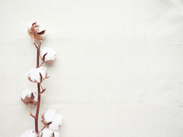 Flores de algodão em tecido de algodão