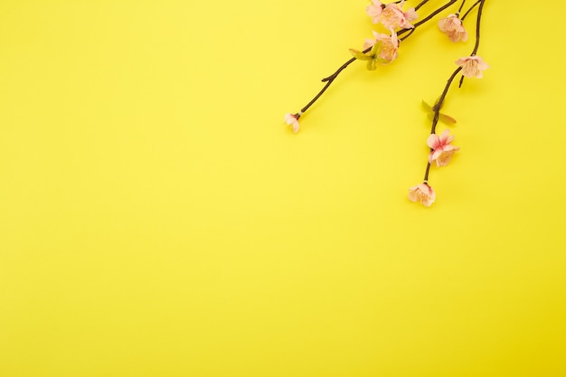 Vista superior do conceito de design de espaço de cópia de fundo de ano  novo lunar chinês com flor de ameixa branca e decoração festiva, a palavra  dentro da imagem significa bênção.