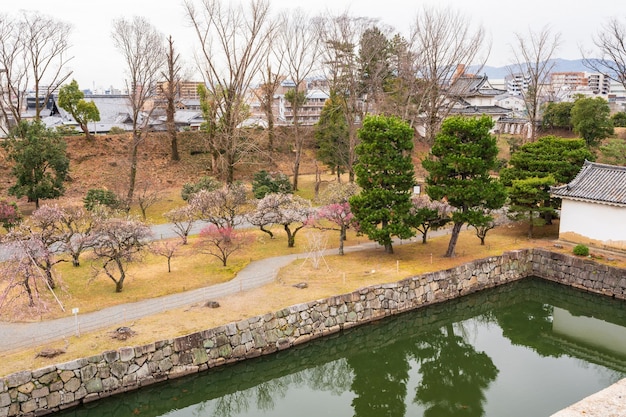 Foto flores de ameixa em plena floração no jardim de flores do castelo de nijo, em kyoto, japão