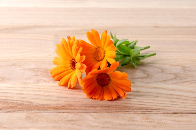 Flores de calêndula em uma mesa de madeira