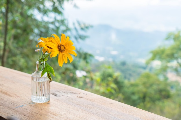 Flores de calêndula em vaso