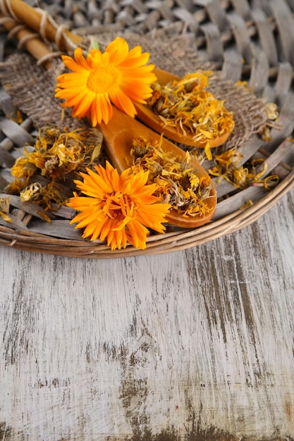 Foto flores de calêndula frescas e secas em fundo de madeira