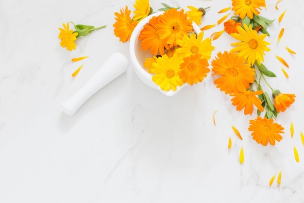 Flores de calêndula laranja em fundo de mármore branco