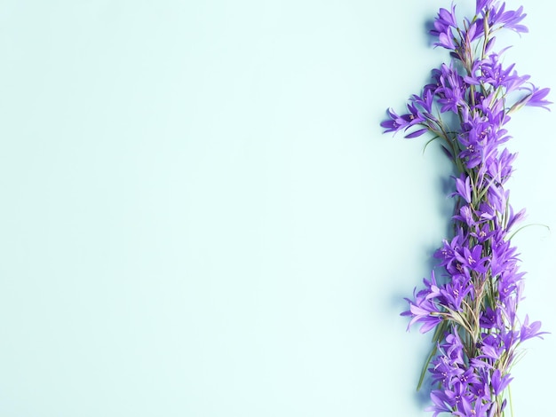 Flores de campainha em um fundo azul