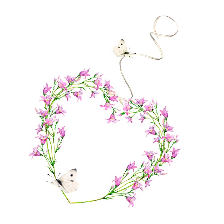 Foto flores de campanário em forma de coração com borboletas brancas e fita branca desenhada à mão em fundo branco ilustração floral de aquarela suave pintada à mão para quadro fotográfico de valentine de casamento