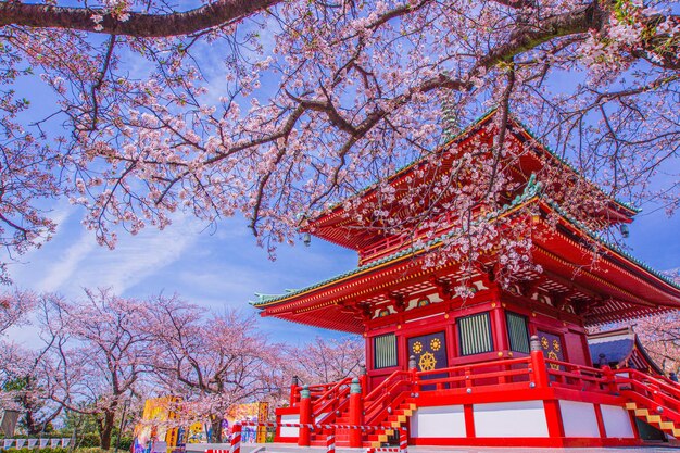 Foto flores de cerejeira de primavera e takamiyama cidade de yokohama