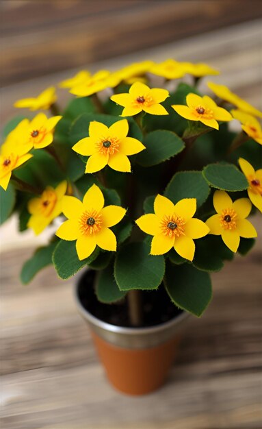 Foto flores de cochlospermum regium