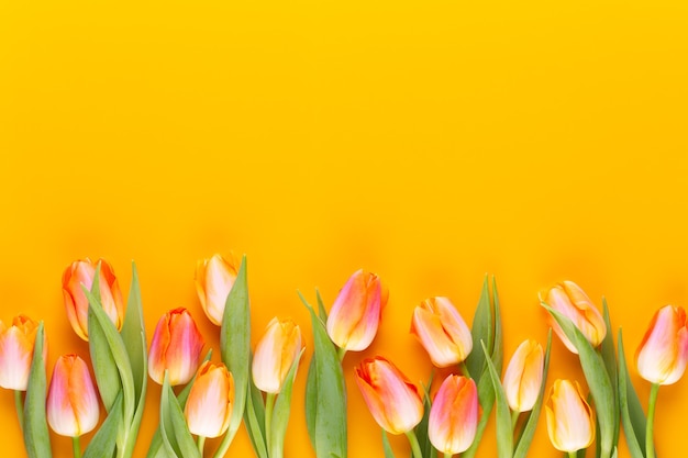 Flores de cor pastéis amarelos sobre fundo amarelo. Aguardando a primavera. Cartão de feliz Páscoa. Camada plana, vista superior. Copie o espaço.