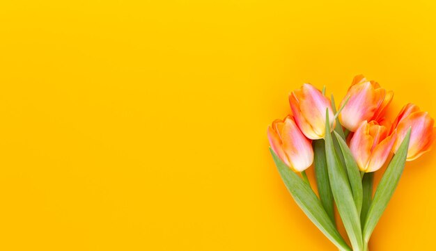 Flores de cores pastéis amarelos em fundo amareloEsperando pela primavera Cartão de feliz Páscoa Vista superior plana e plana Espaço para cópia