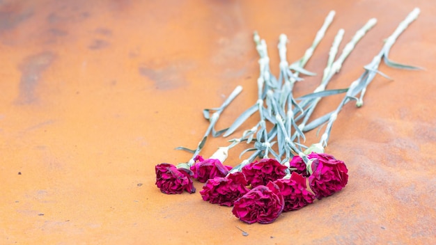 Flores de cravo vermelho ou peônias no local de um acidente de carro fatal