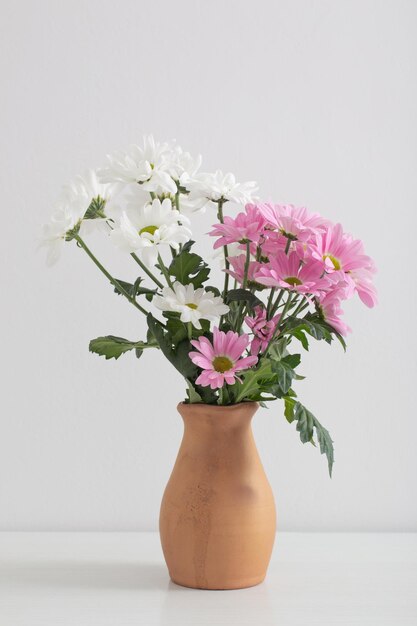 Flores de crisântemos em vaso de cerâmica no fundo branco