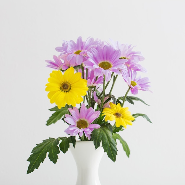 Flores de crisântemos em vaso de cerâmica no fundo branco