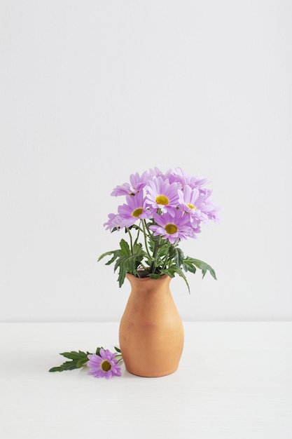Flores de crisântemos em vaso de cerâmica no fundo branco