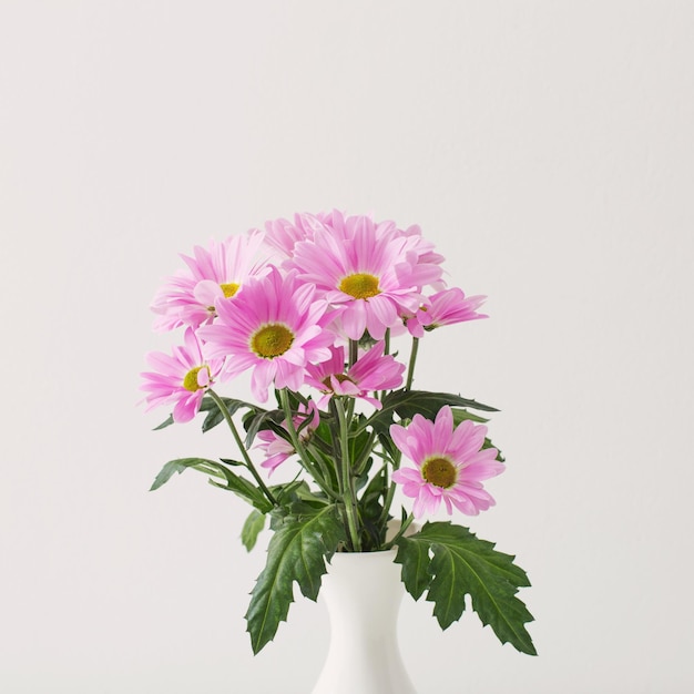 Flores de crisântemos em vaso de cerâmica no fundo branco