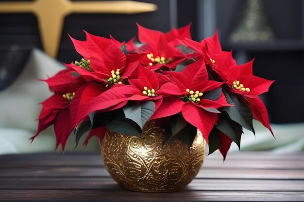 Flores de estrela de Natal vermelha em vaso de ouro