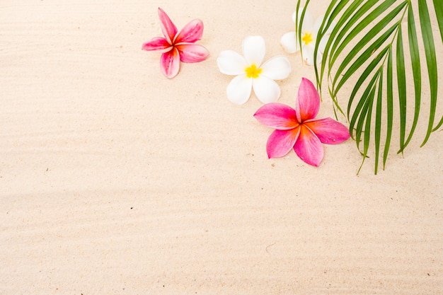 Flores de frangipani e folha de palmeira na areia para fundo de verão