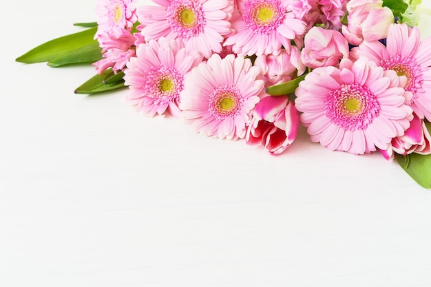 Flores de gerbera rosa margarida em fundo branco feriado fundo cópia espaço foco seletivo