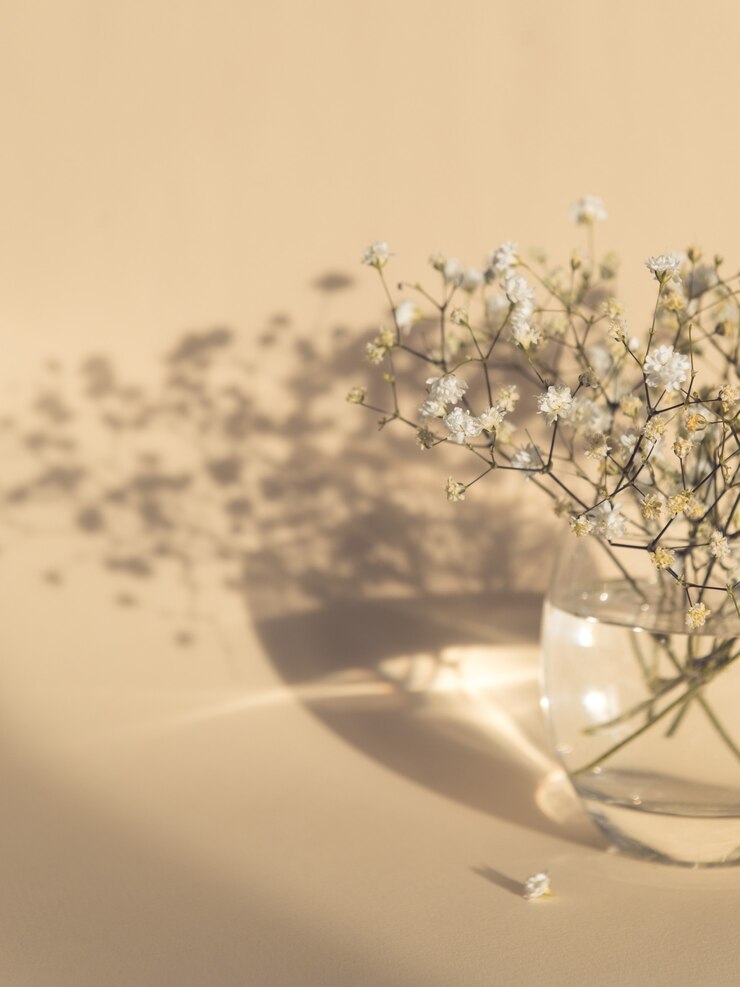 flores de gipsófila em um vaso de vidro com luz e sombra de fundo bege
