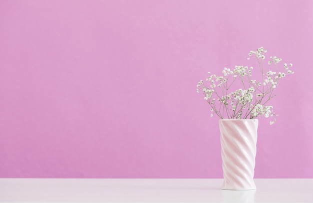 Flores de gipsófila em vaso rosa