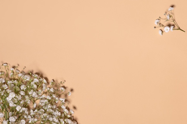 Flores de gypsophila em um papel de parede de fundo bege abrindo para o espaço de cópia de férias