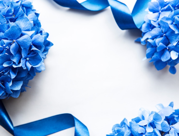 Foto flores de hortênsia azul