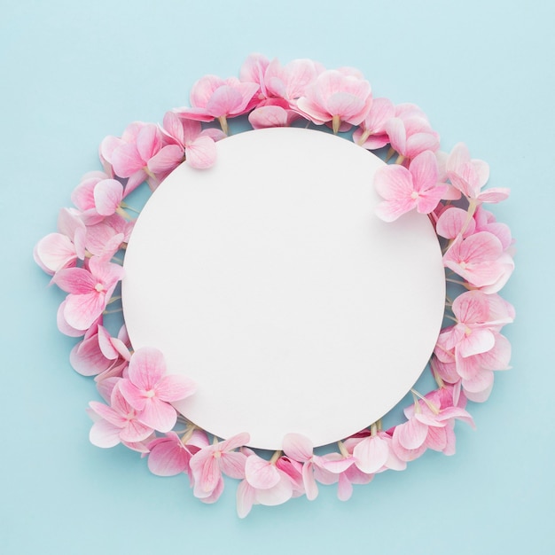 Flores de hortênsia rosadas planas com círculo em branco
