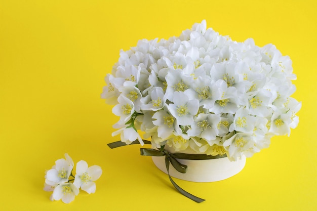 Flores de jasmim brancas na caixa de presente no fundo amarelo.