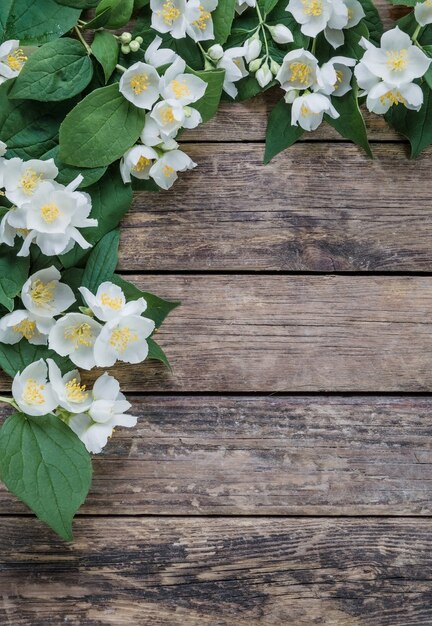 Flores de jasmim em estilo rústico