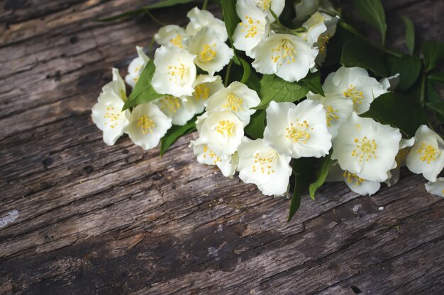 Flores de jasmim em fundo de madeira vintage, design de borda cartão de dia dos namorados espaço de cópia