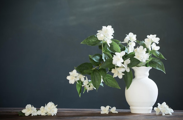 flores de jasmim em vaso de cerâmica no fundo branco