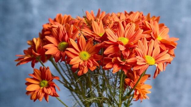 Flores de laranja na arte de fundo cinza