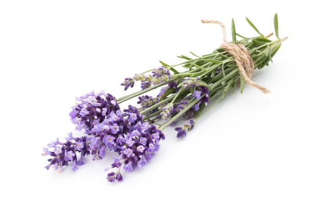 Flores de lavanda em uma superfície branca.