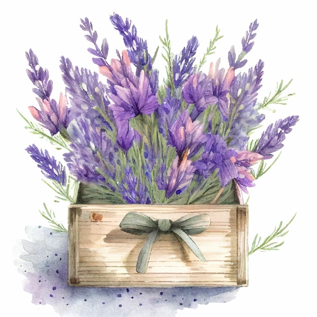 Flores de lavanda ilustração de aquarela isolada em fundo branco caixa de madeira vintage francesa