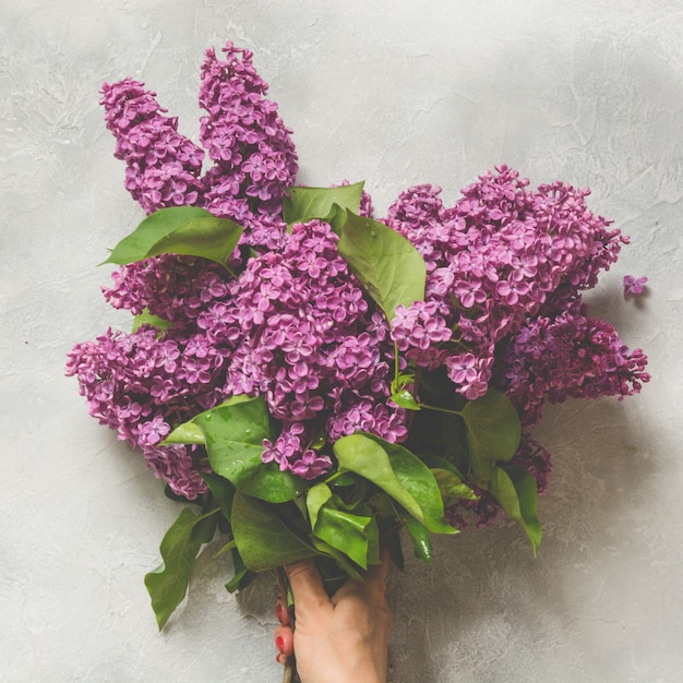 Flores de lilás buquê roxo na mão feminina