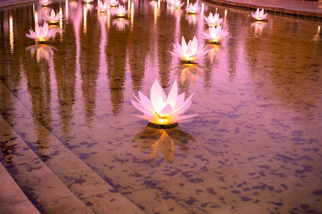 Flores de lótus decorativas iluminadas em uma lagoa em um parque da cidade à noite