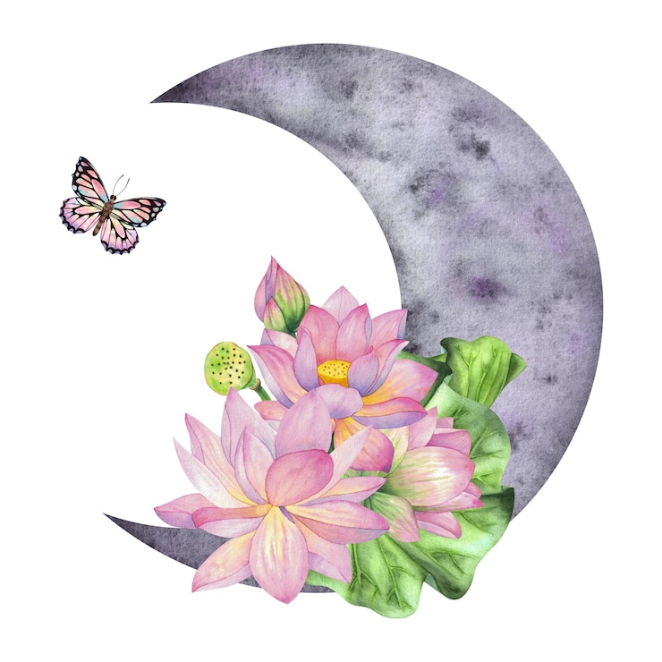 Foto flores de lótus rosa e botões com folhas ilustração de aquarela da lua composição isolada em um