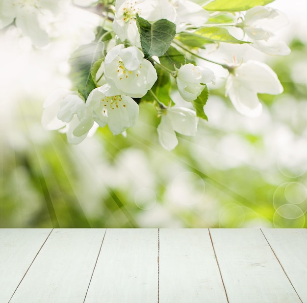 Flores de maçã branca folhas verdes Bokeh luz e placa de madeira vazia no fundo de foco suave de saúde de primavera com espaço de cópia