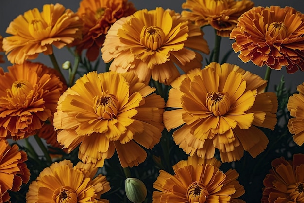 Foto flores de margarida dispostas em um arra floral tradicional