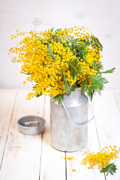 Flores de Mimosa em uma lata de leite de metal vintage no fundo de madeira branco rústico.