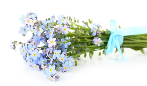 Flores de miosótis, isoladas em branco