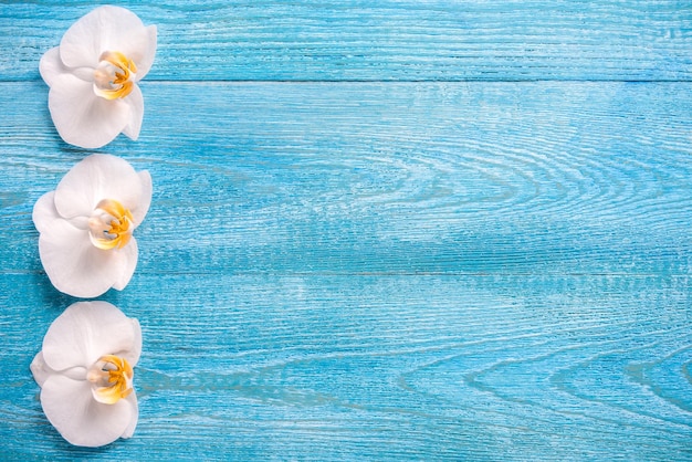 Flores de orquídeas brancas em um espaço de cópia de vista superior de fundo azul de madeira