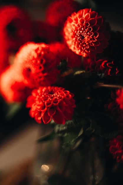 flores de outono vermelhas em um fundo escuro, elegante buquê de noiva cor marsala