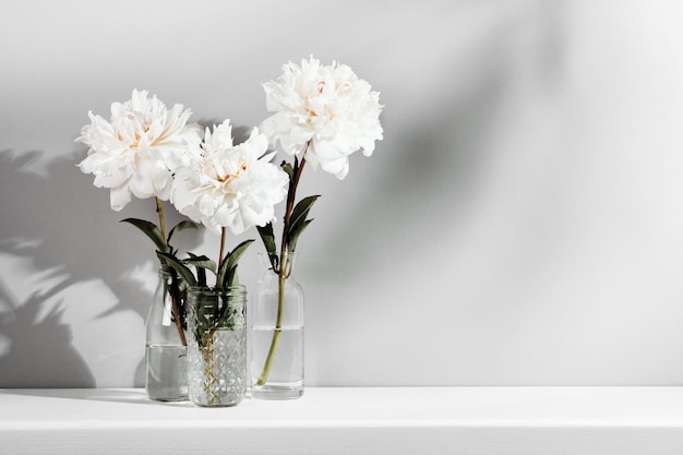 Flores de peônias brancas elegantes no fundo da parede da mesa Modelo para sombras da moda de texto ou arte