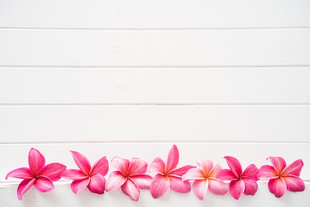 Flores de plumeria rosa em um fundo branco de madeira